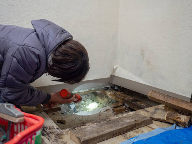 Best Mold Documentation for Insurance Claims  in Monrovia, CA